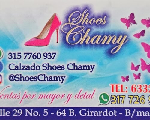 Shoes Chamy