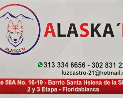 Calzado Alaska’n