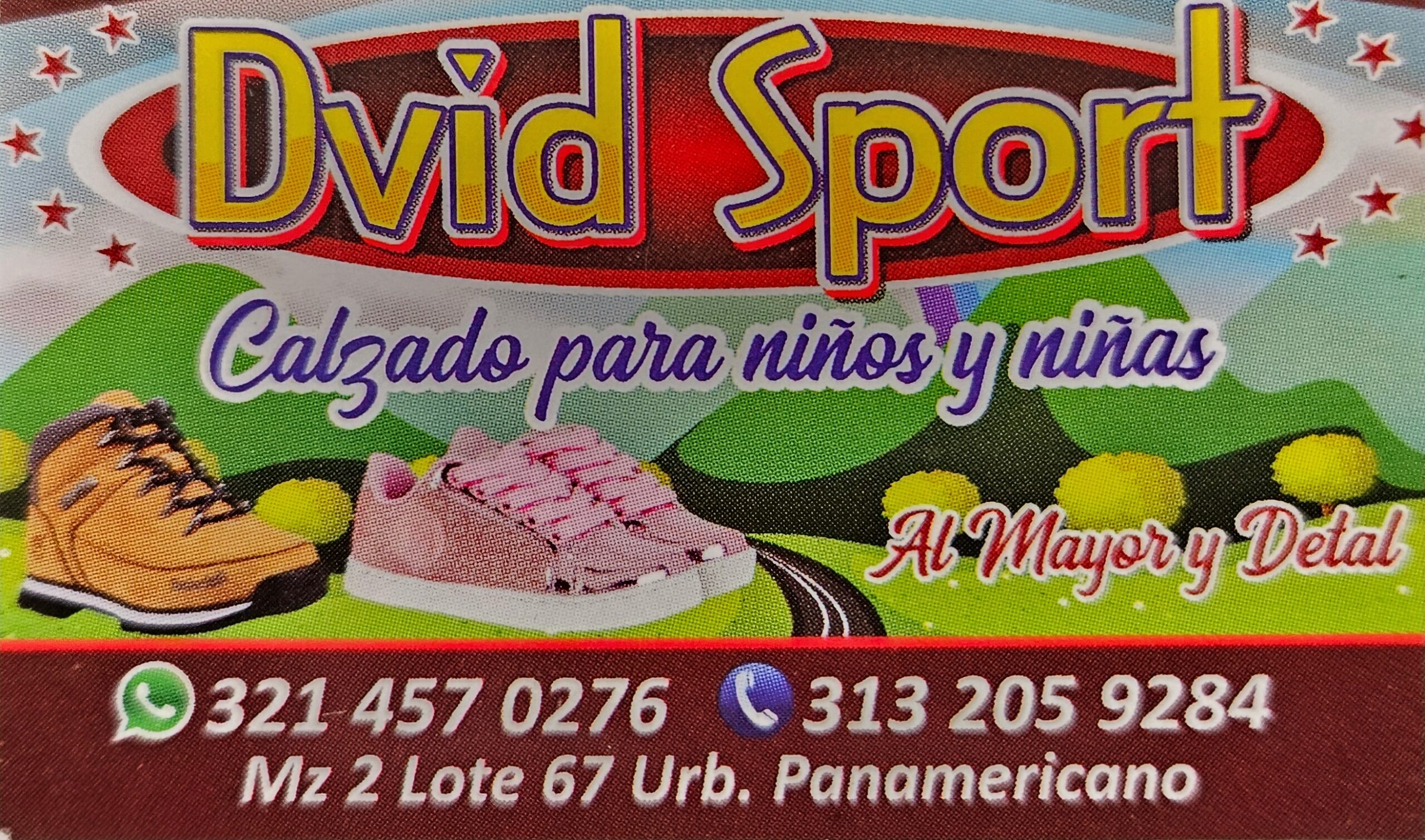 Calzado Dvid Sport