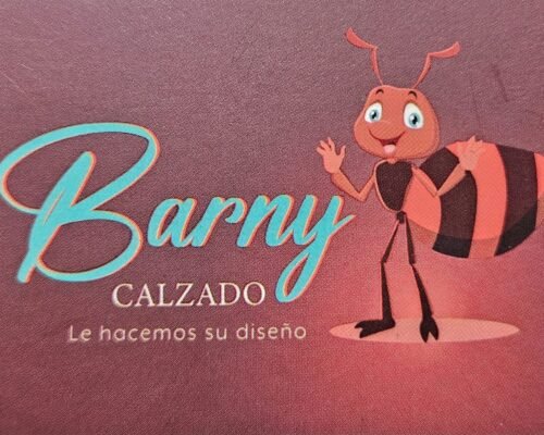 Calzado Barny