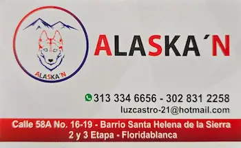 logo_alaskan