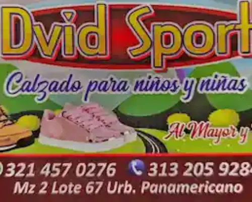 Calzado Dvid Sport