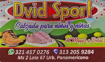 logo_dvid_sport