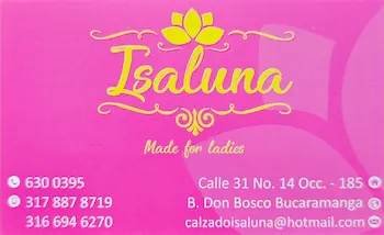 logo_isaluna