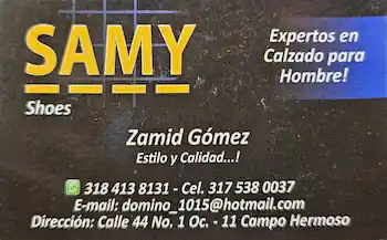 logo_samy