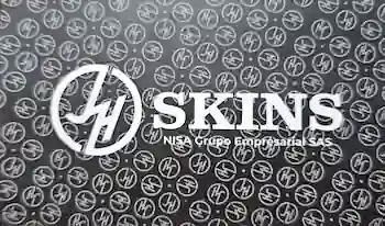logo_skins
